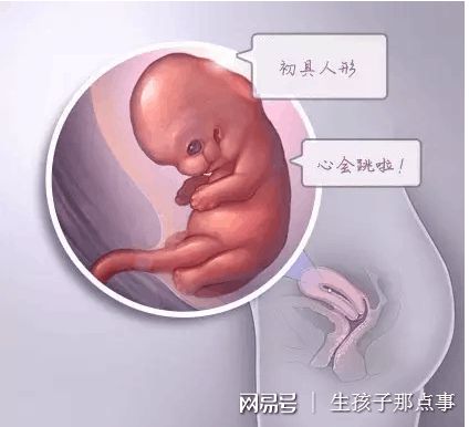三代试管供卵代怀生殖医学中心